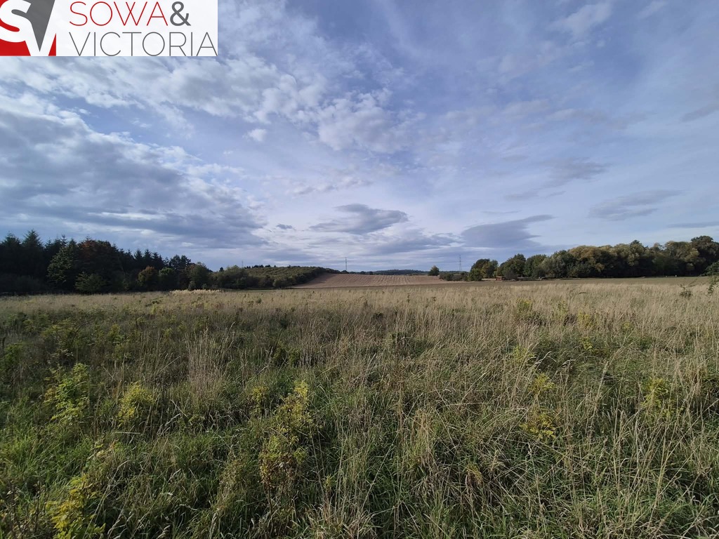 Budowlana działka z możliwością podziału w kłaczynie.