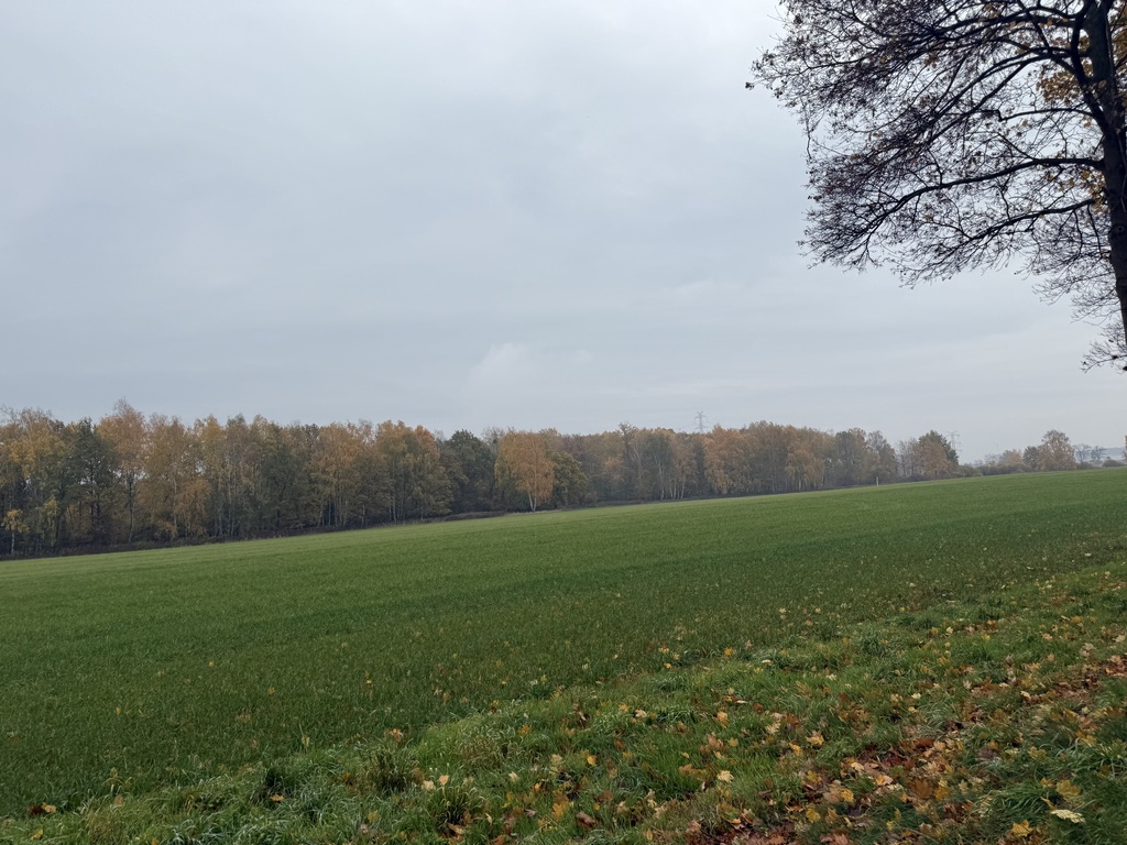 Unikalny teren inwestycyjny_skarbimierz_osiedle