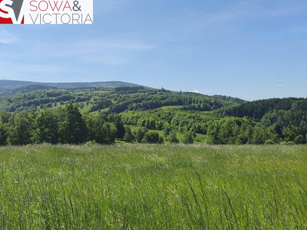 Piękna panorama na góry sowie
