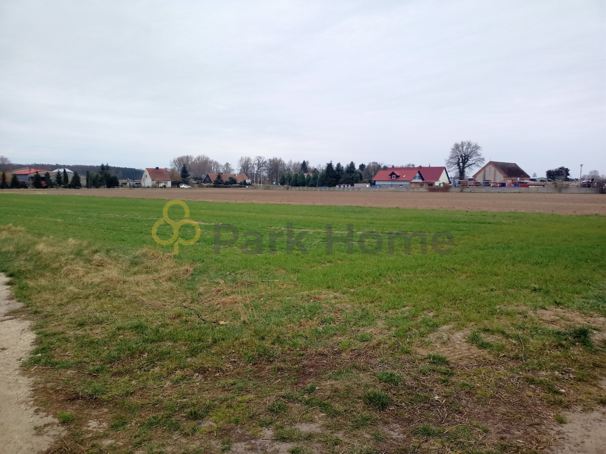 Działka budowlana koło wschowy