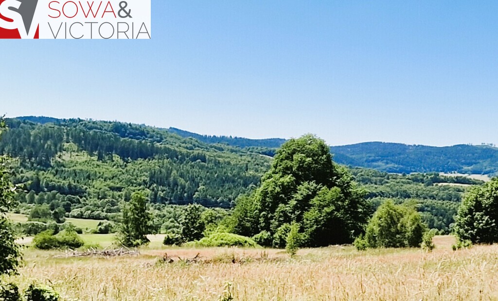Natura przestrzeń spokój i góry sowie