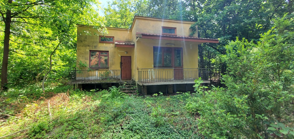 Leśna działka 2600 m² z domem