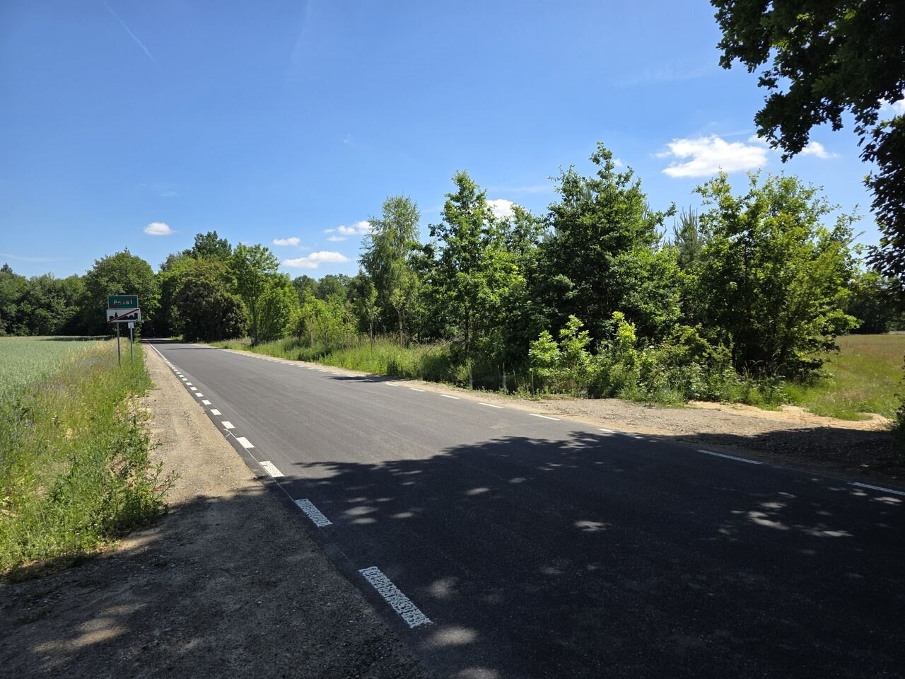 Działka budowlana gm. zadzim 8116m2