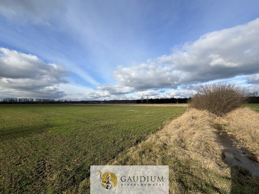 Działka 4600 m2 sobieszewo ul. uzdrowiskowa