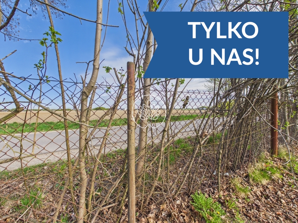 Droga asfaltowa| prąd | gaz | woda