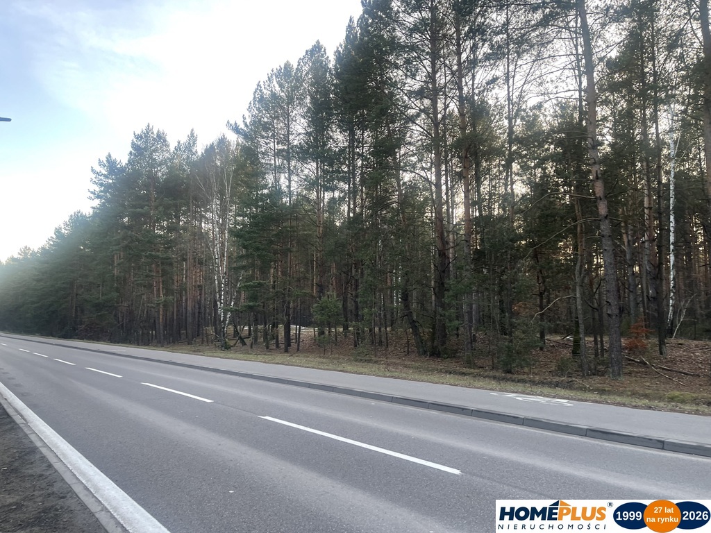 Działka inwestycyjna 5,5 ha, produkcja i usługi.