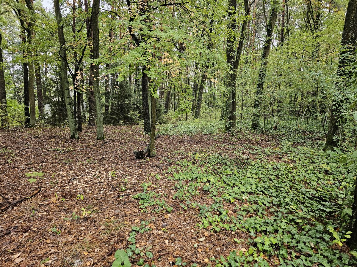 ul. Podleśna
