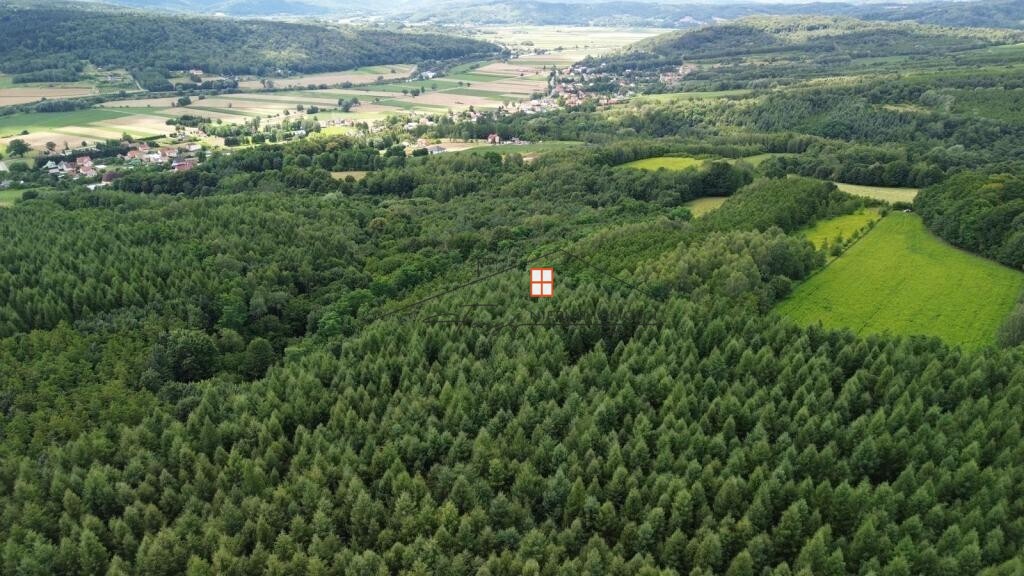 Na sprzedaż wyjątkowy kompleks leśny 15,43 h (las)