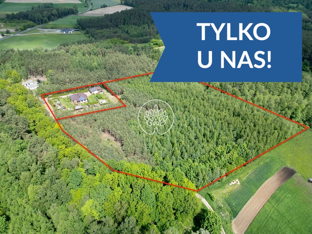 Dom w środku własnego lasu. cisza i spokój