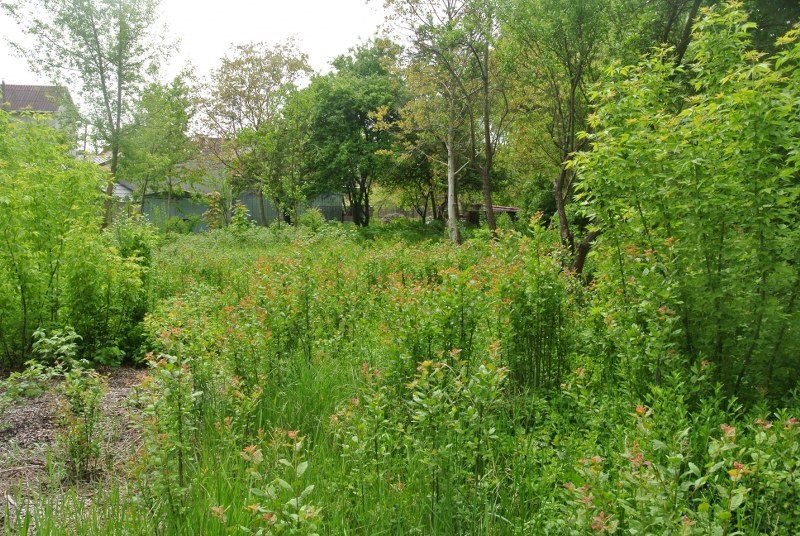 Działka 3130 m2 piaski