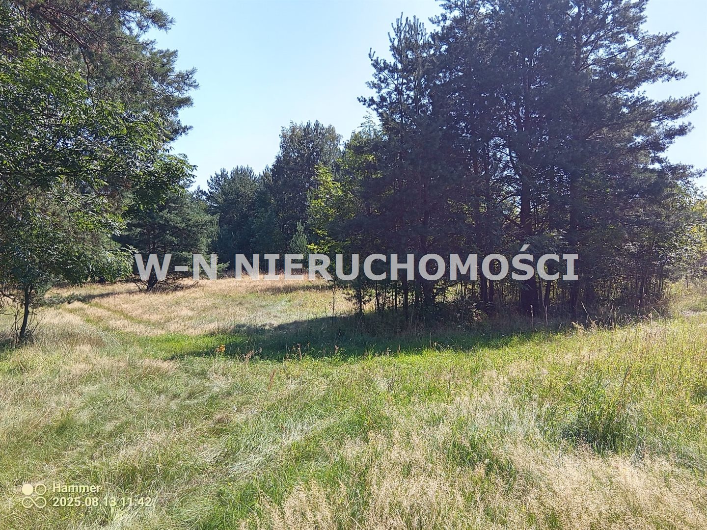 Działka grodowiec