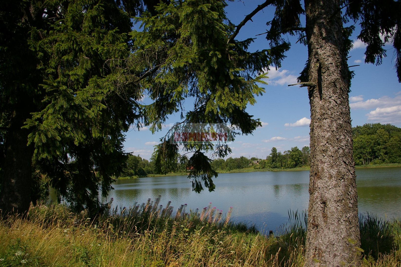 Polecamy działki na mazurach