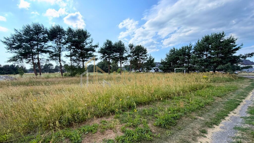 Działka 2684 m² w zielonej okolicy - modrzewie