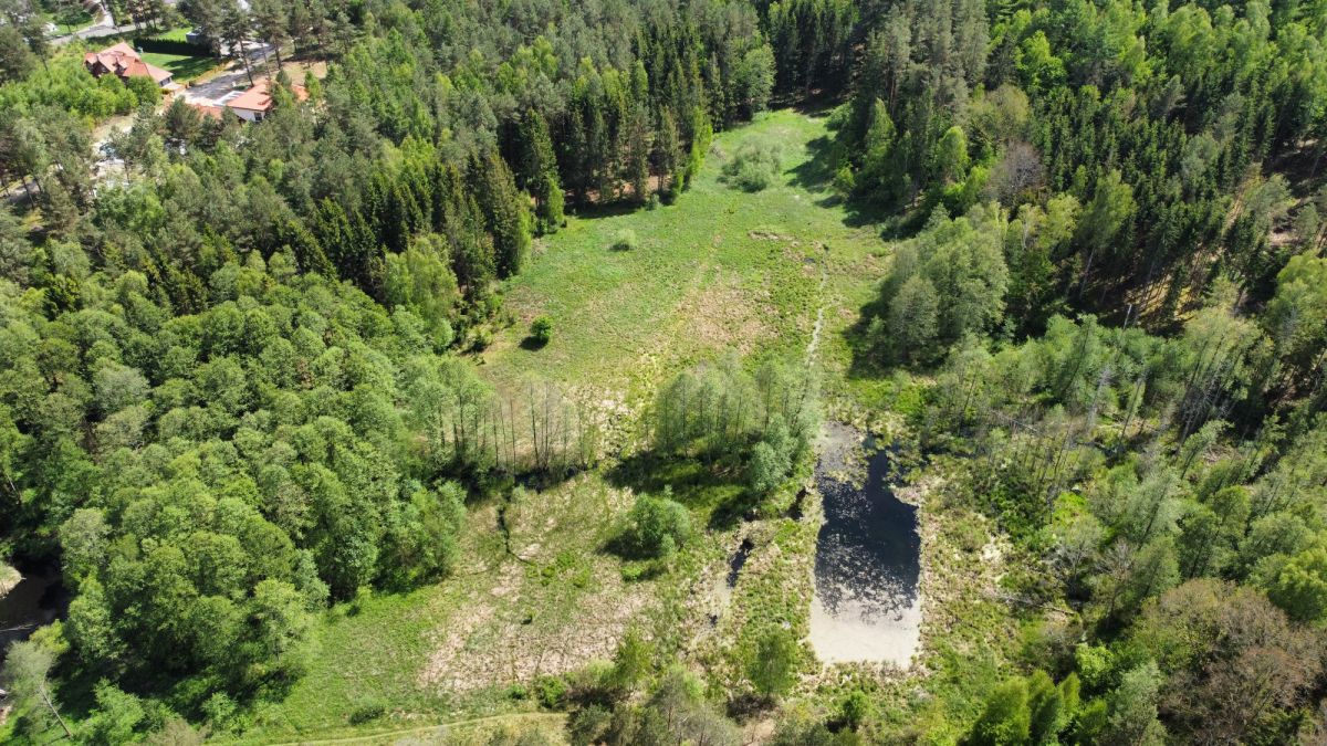Łupstych k. olsztyna | 2700 m² | działki 258 i 259