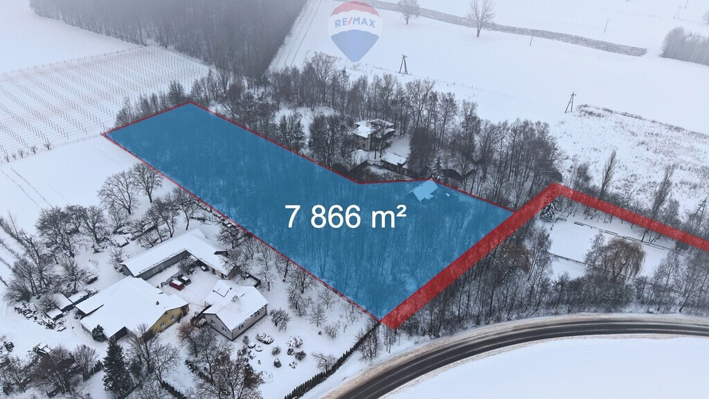 Działka 7866 m² z lasem, miłocin (jastków)