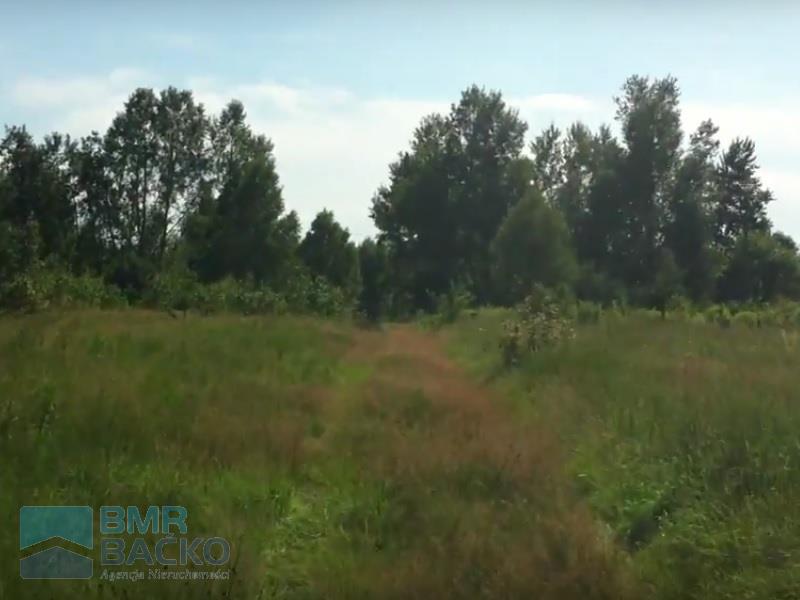 Malownicze 3000m2 pod żabią wolą
