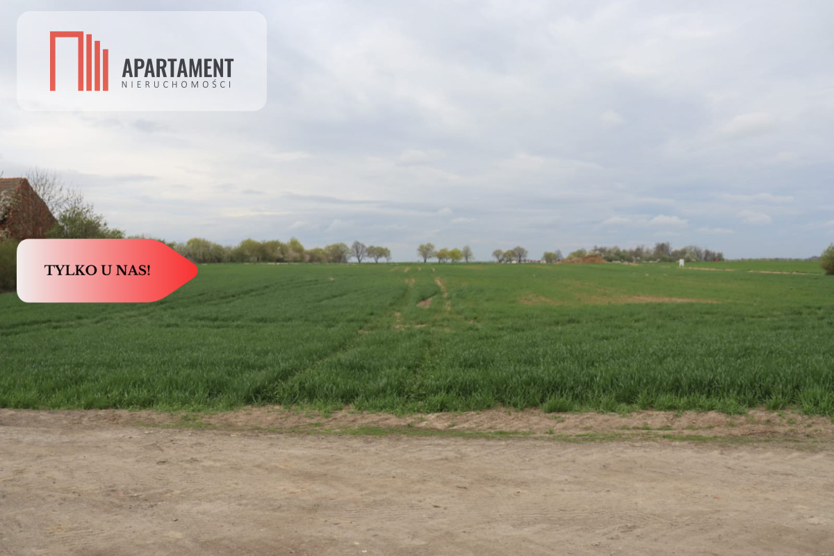 Duża działka 1,15 ha z zabudowaniami