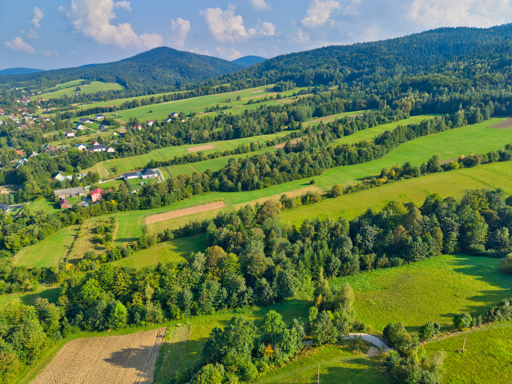 ⭐wyjątkowa działka inwestycyjna (1,78 ha)⭐bogusza