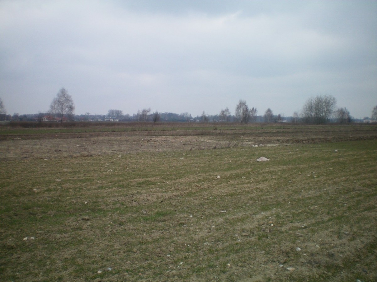 ul. Gościniec