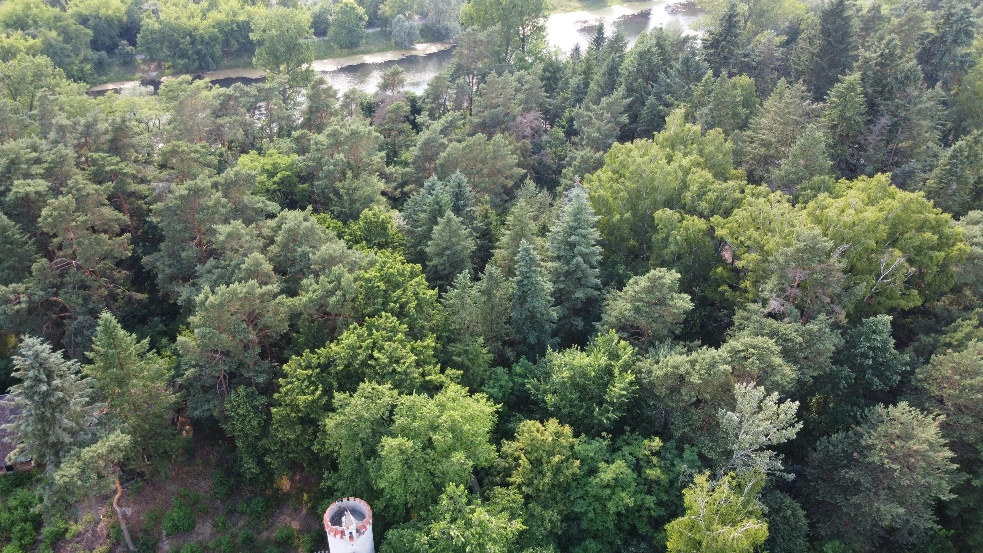 Józefów działka 9200m2 z linią brzegową j. łacha.