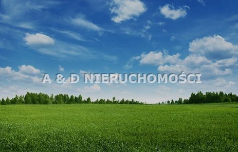 Oferta sprzedaży