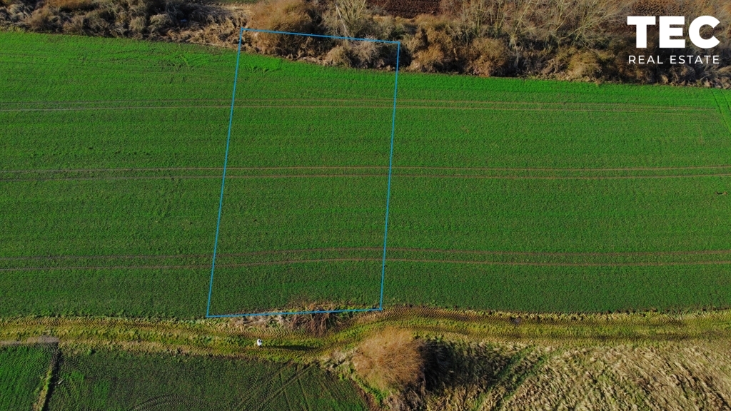 Rogóżno – działka 1200 m²