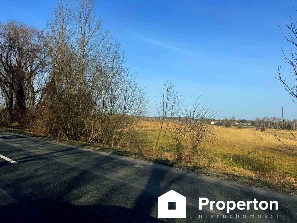 Opole lubelskie – duża działka rolna 4 822 m²
