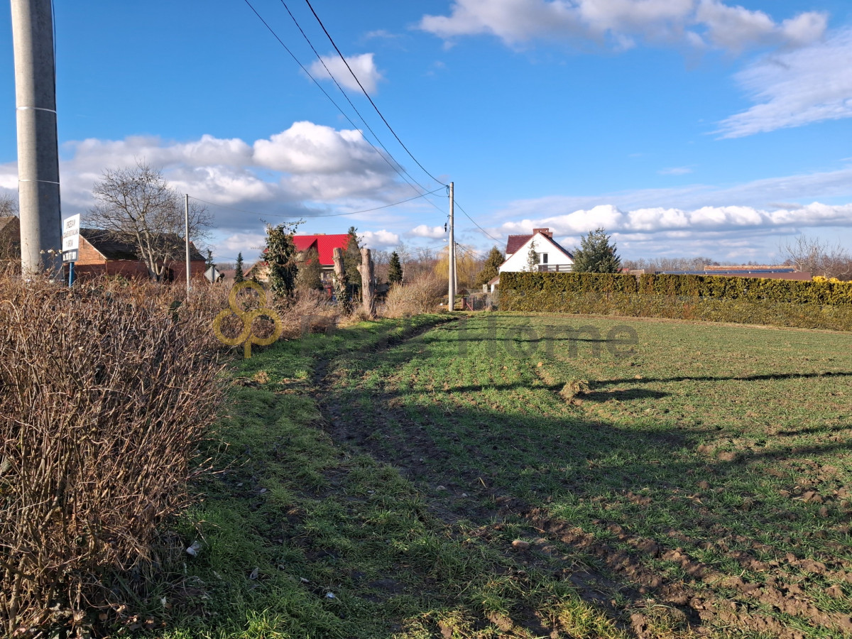 Działka budowlana objęta mpzp, kurów wielki
