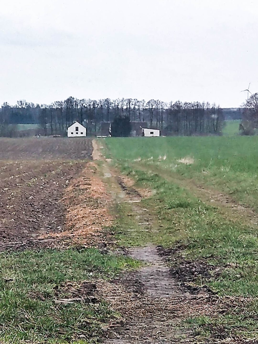 Gospodarstwo rolne 4,6 ha kalinowa