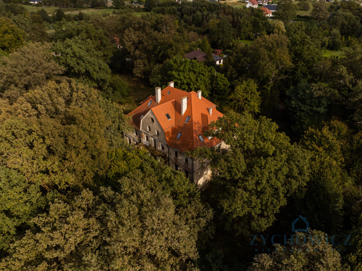 Zabytkowy pałac z parkiem – wilków, woj. opolskie