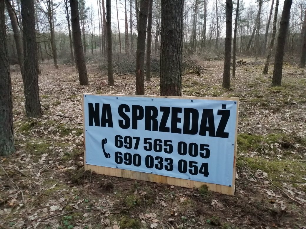 Błędowo działka budowlana - las