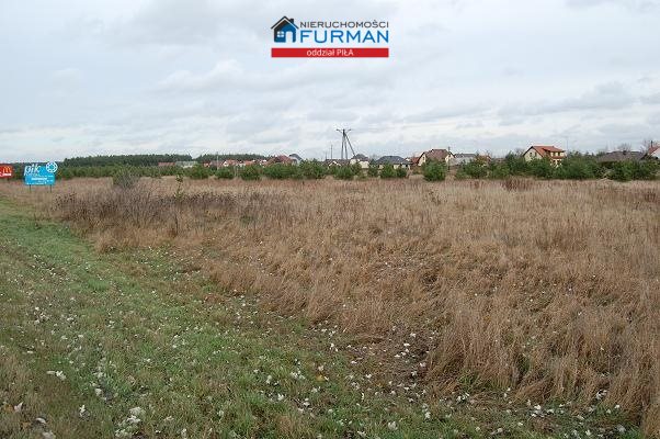 Oferta sprzedaży