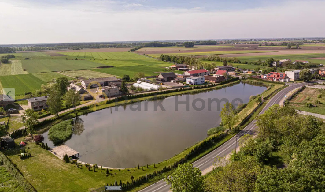 Sprzedam staw (zarybiony)