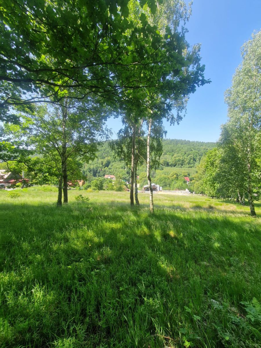 Działka