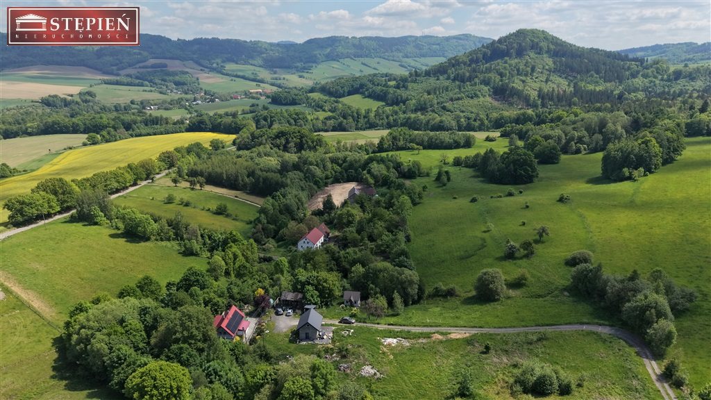 Dom na działce 6024 m² z potencjałem inwestycyjnym