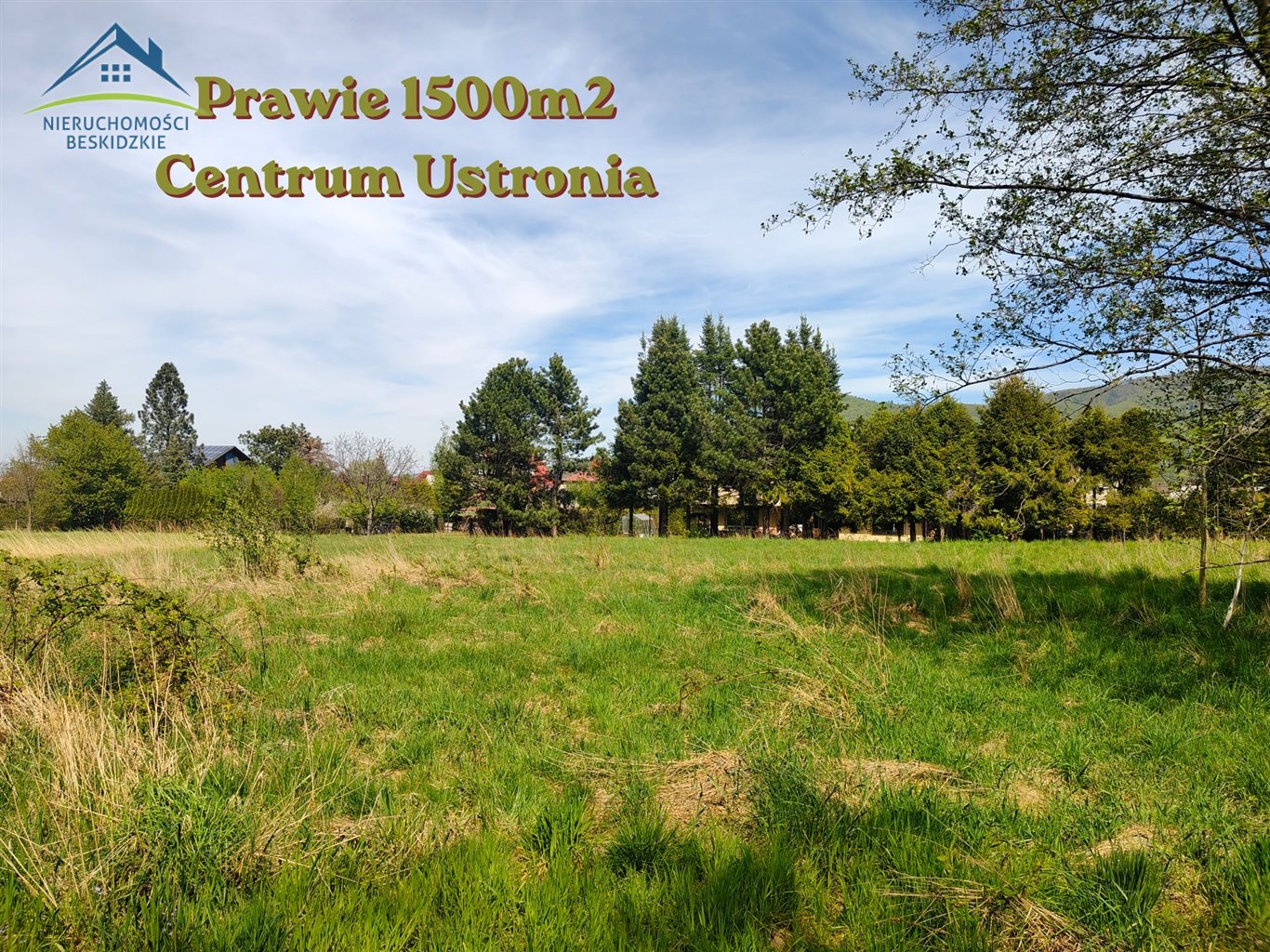 Oferta sprzedaży