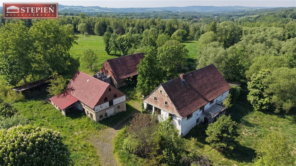 Gospodarstwo w zabudowie zagrodowej