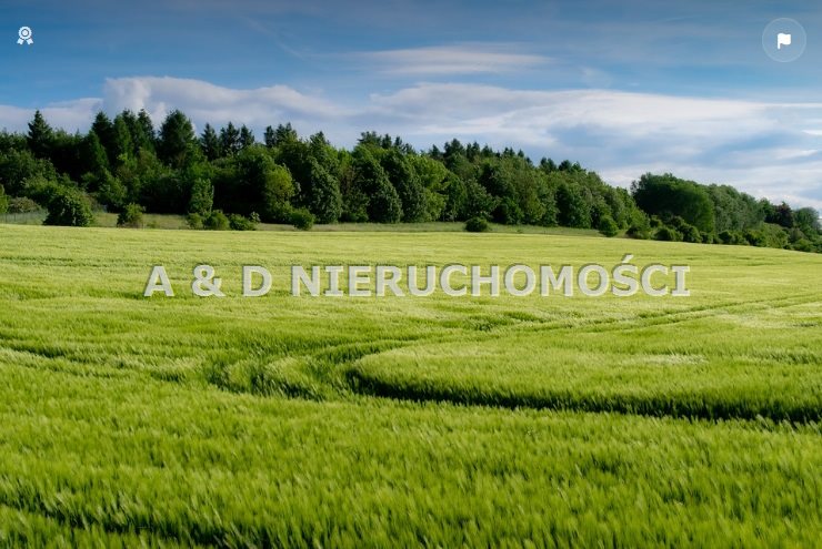 Oferta sprzedaży