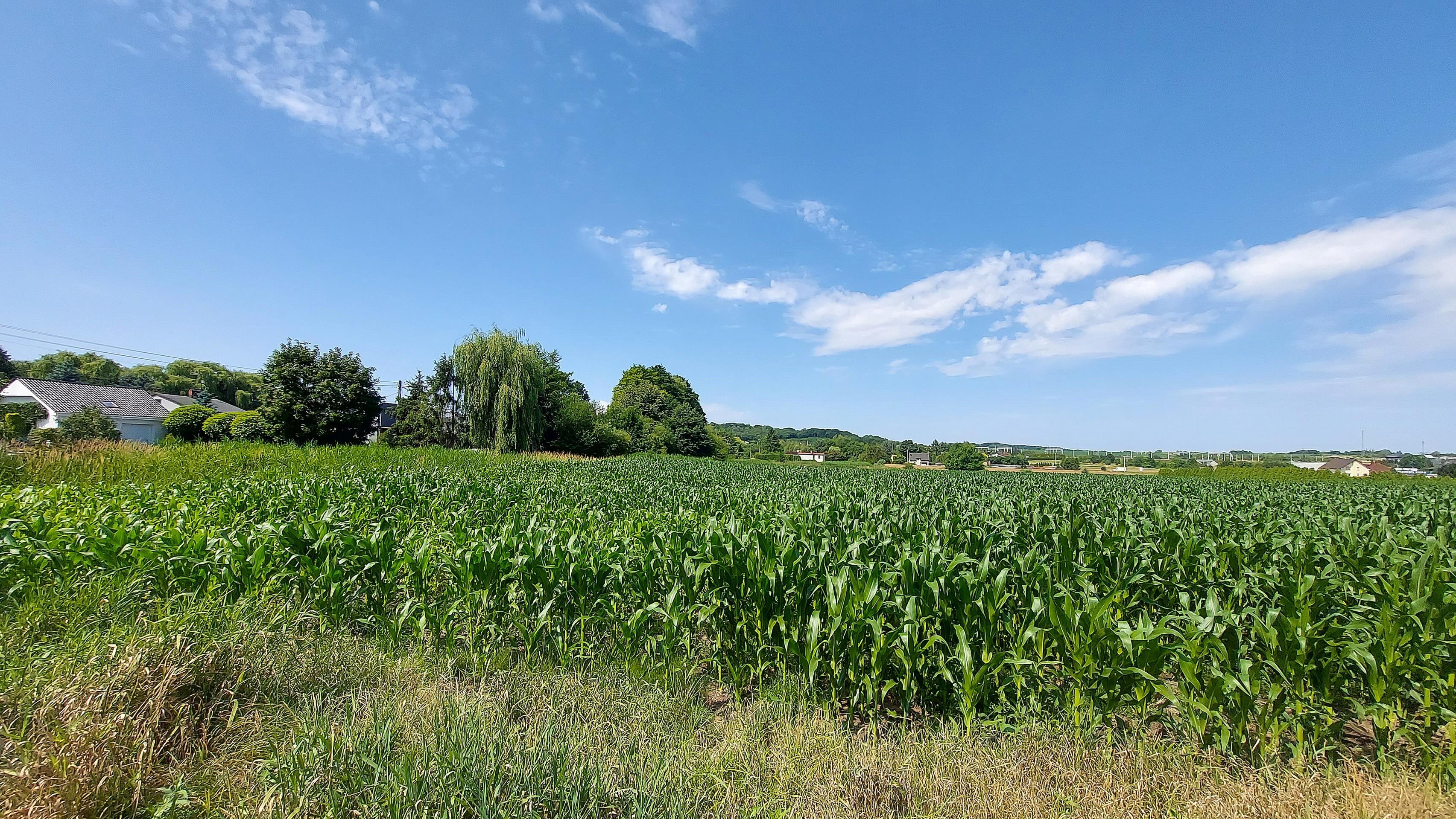 Oferta inwestycyjna działka |30.929 m²| piekary śl