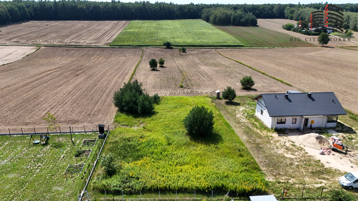 Osmolice drugie, działka budowlana, widok na las