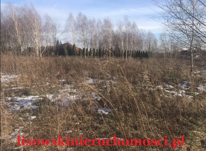 Działka 2.2 ha, okolice ozorkowa