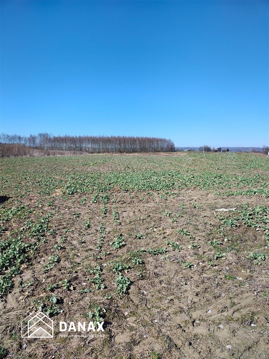 Gmina liszki projekt na 40 budynków