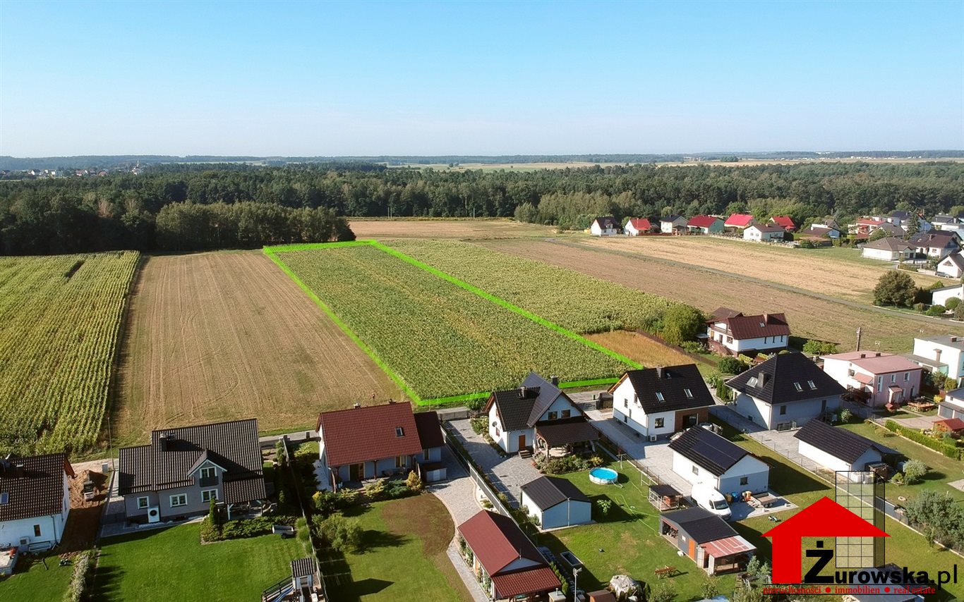 Błotnica strzelecka, duży areał, potencjał inwest.