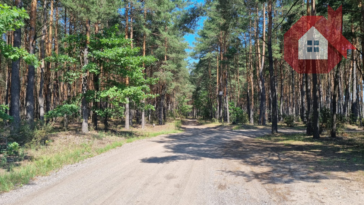 Działka wśród sosen | mpzp | 975 m² | ostrówek