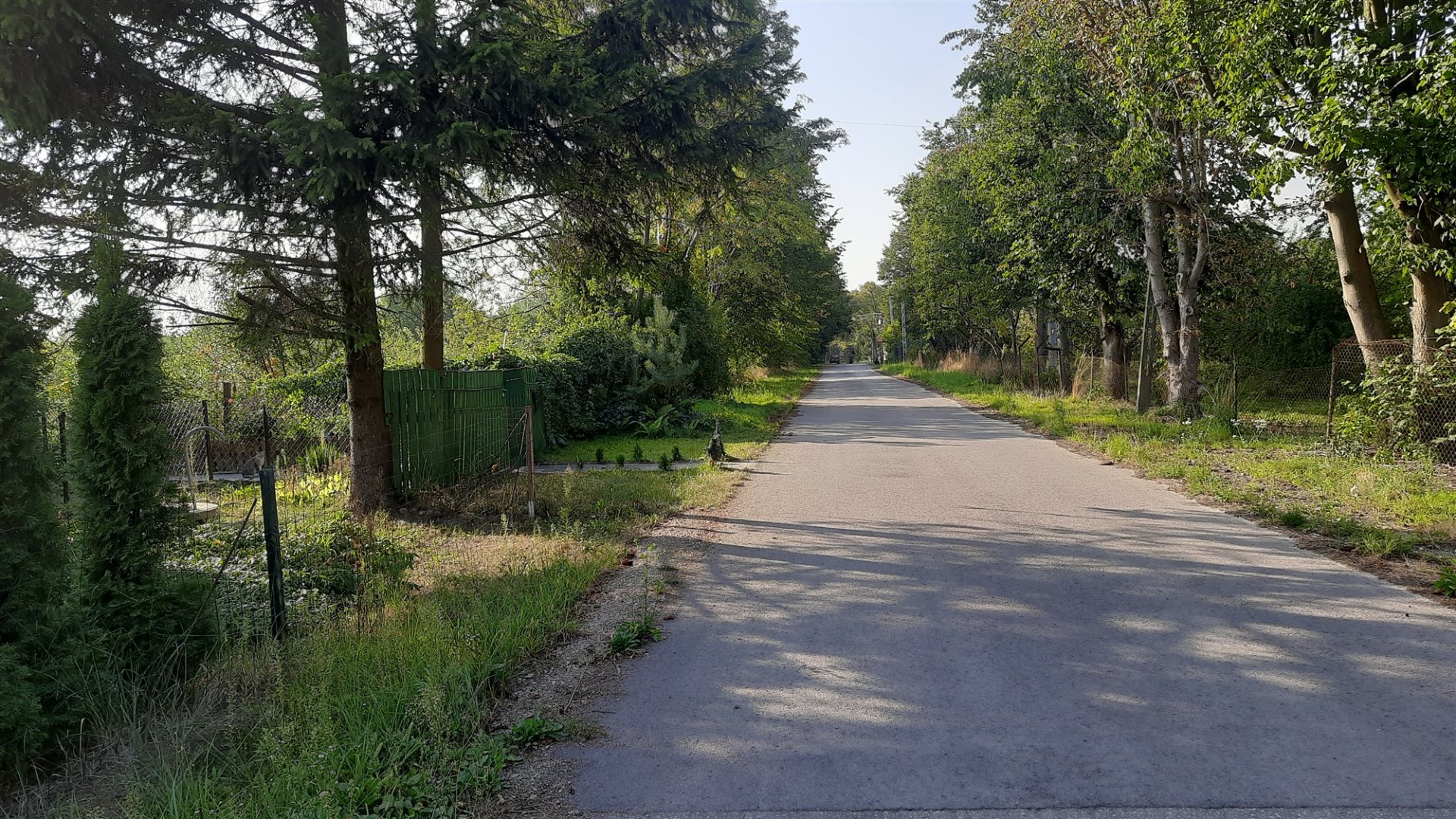 Oferta sprzedaży