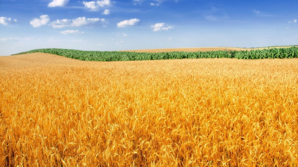 Działka usługowa na sprzedaż okolice zielniki