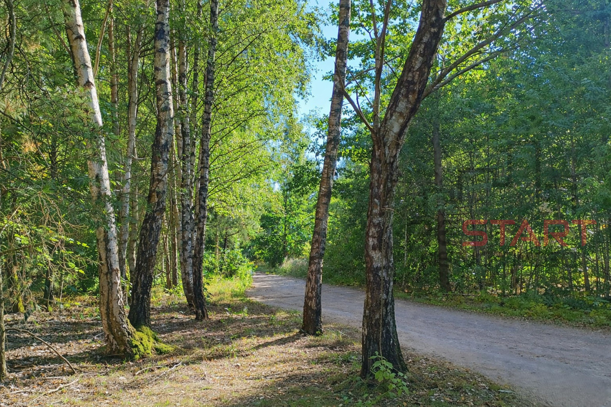 Działki pod usługi i mieszkaniówkę.
