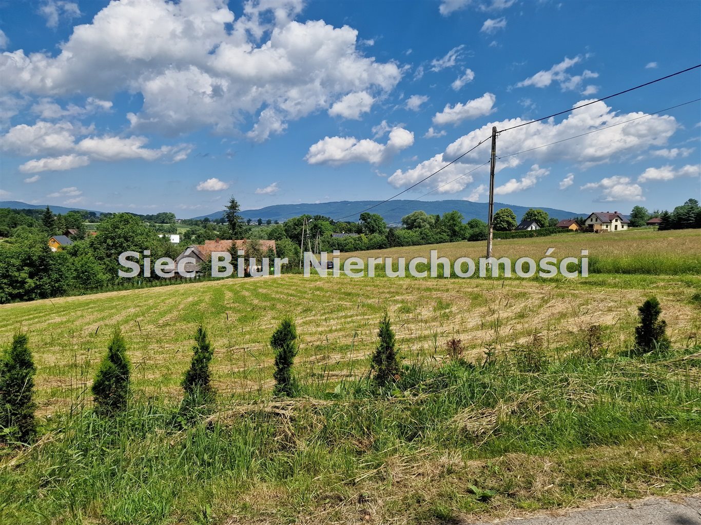 Oferta sprzedaży