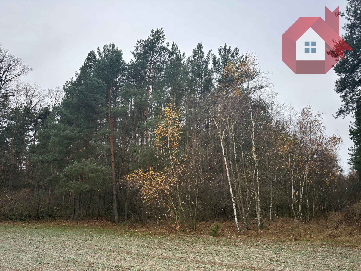 Zadrzewiona działka 2100 m² - 10 minut od zegrza