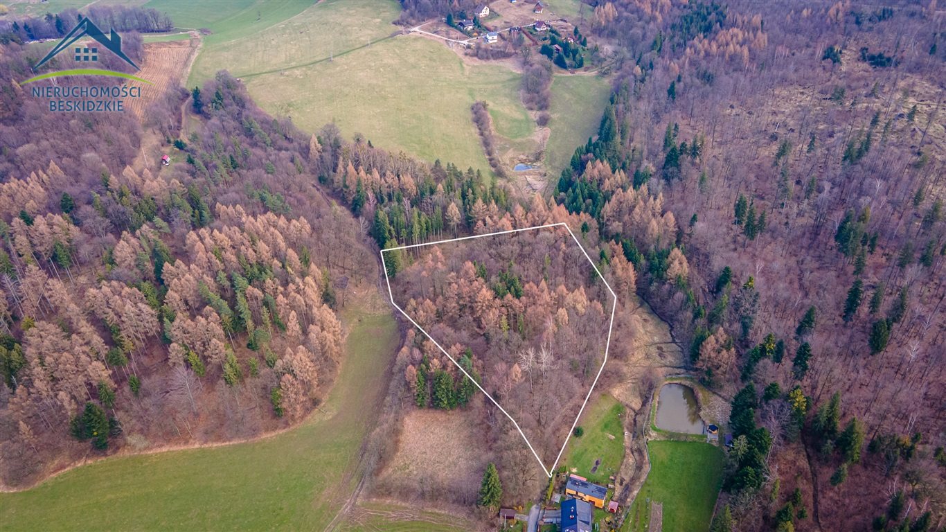 Widokowe działki leśne w beskidach